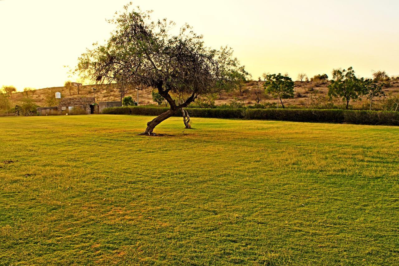 Sanchal Fort Barmer Εξωτερικό φωτογραφία